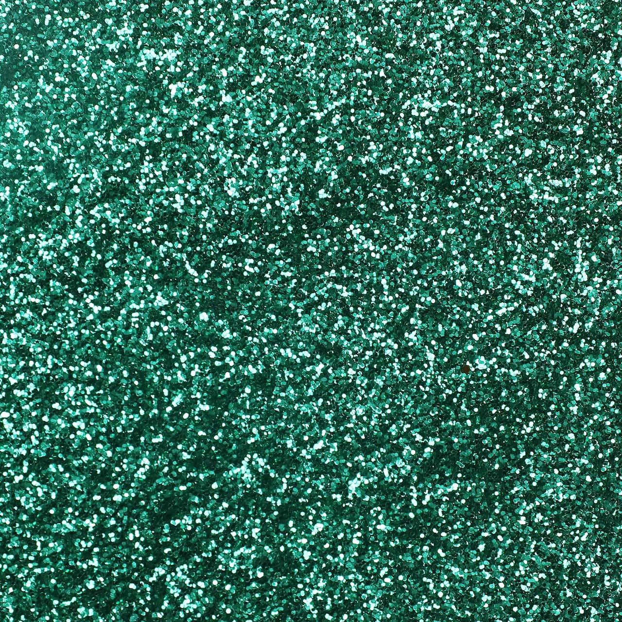 16 Pack: Extra Fine Polyester Glitter by Recollections™